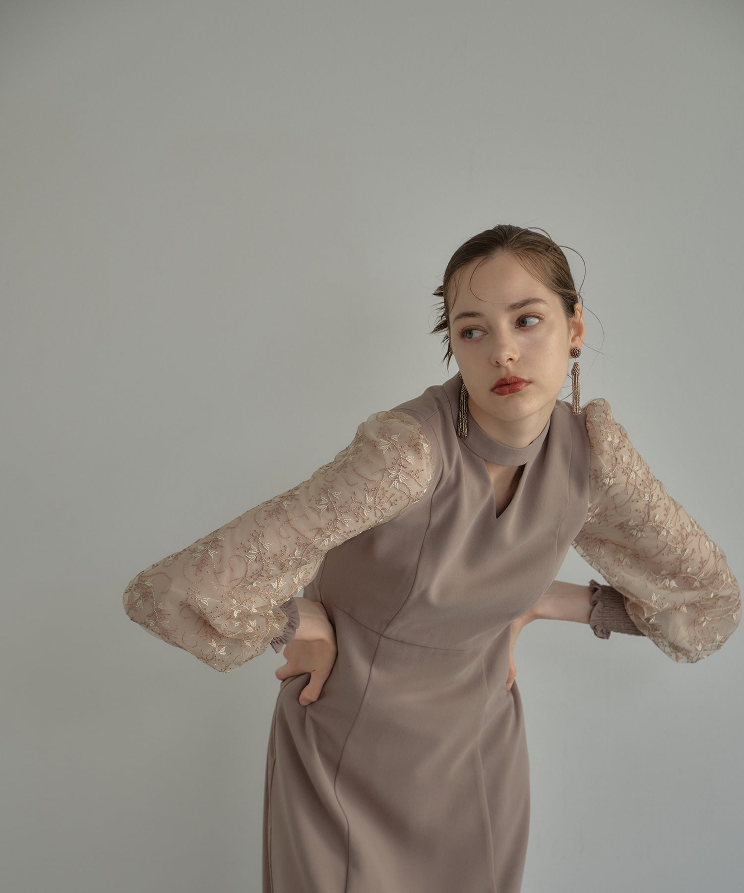 SLEEVE EMBROIDERY DRESS