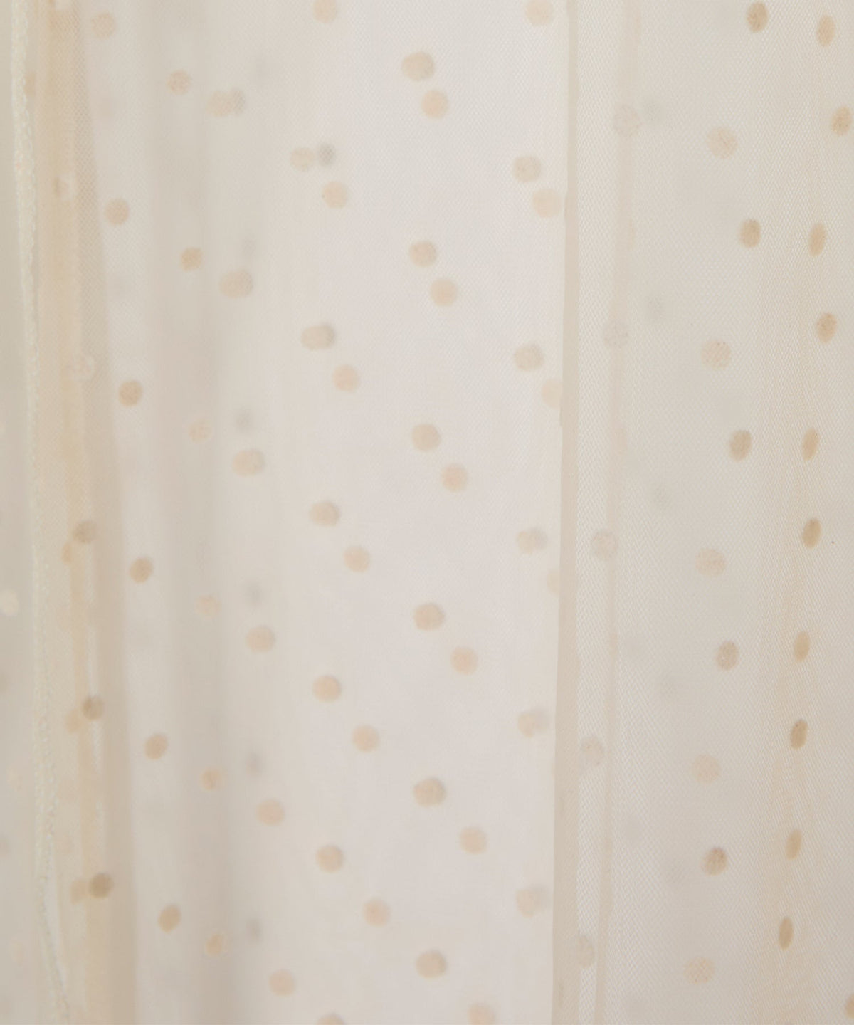 【POPUP】DOT SHEER TOPS