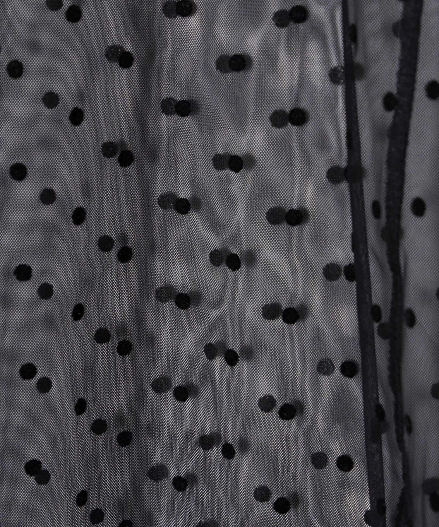【POPUP】DOT SHEER TOPS