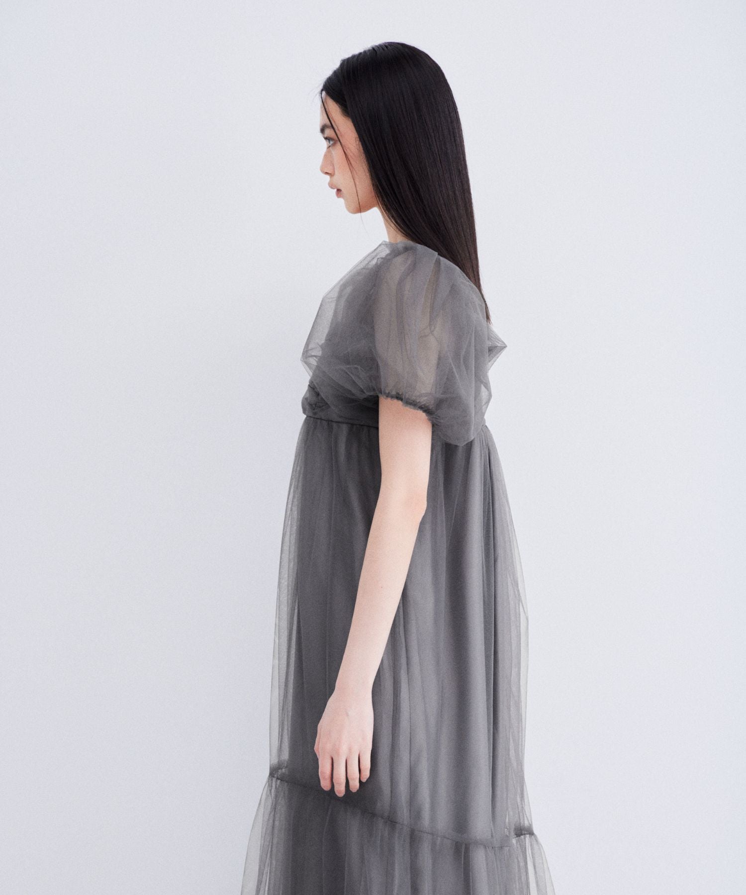 VOLUME TULLE PUFF SLEEVE DRESS
