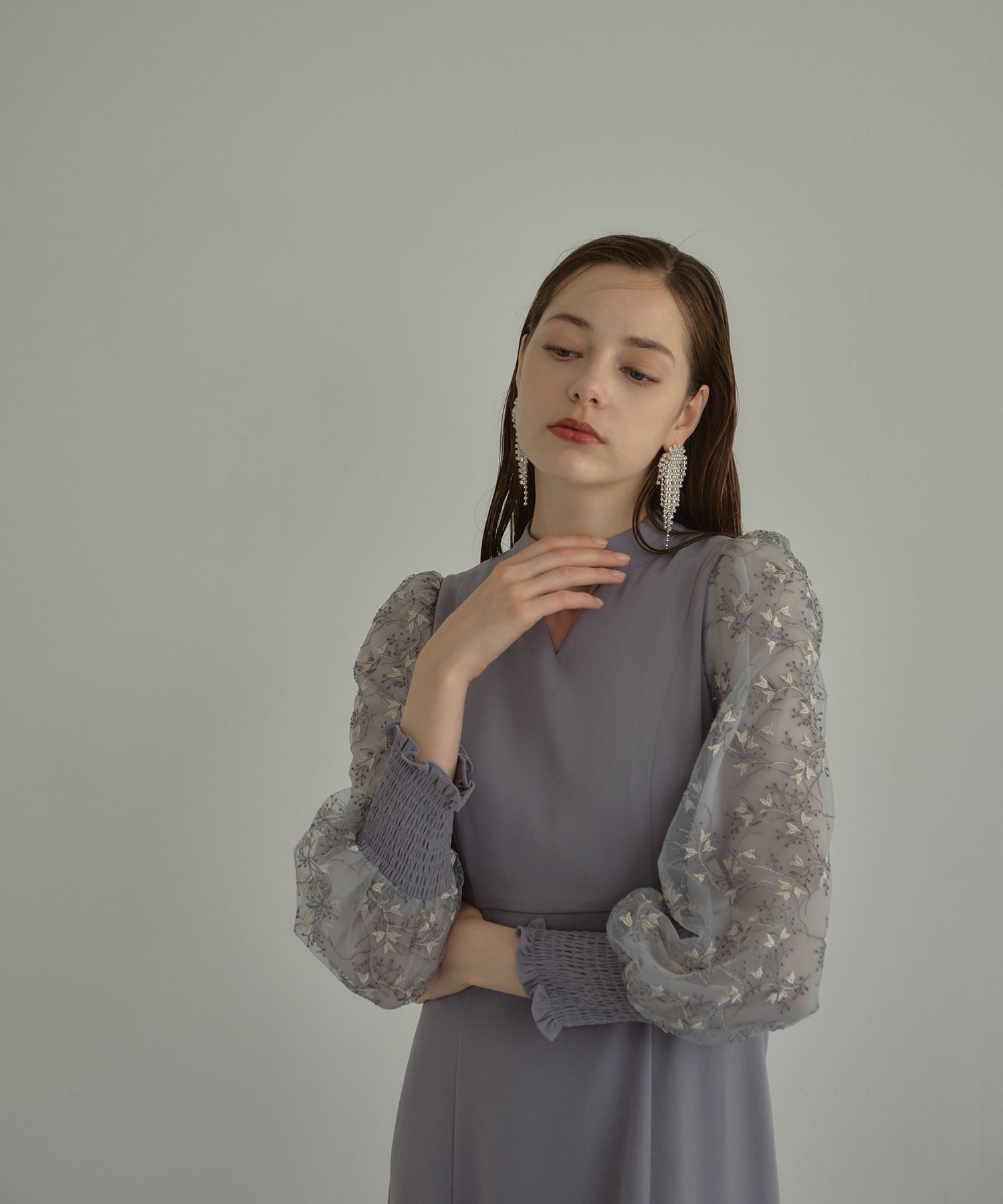 SLEEVE EMBROIDERY DRESS