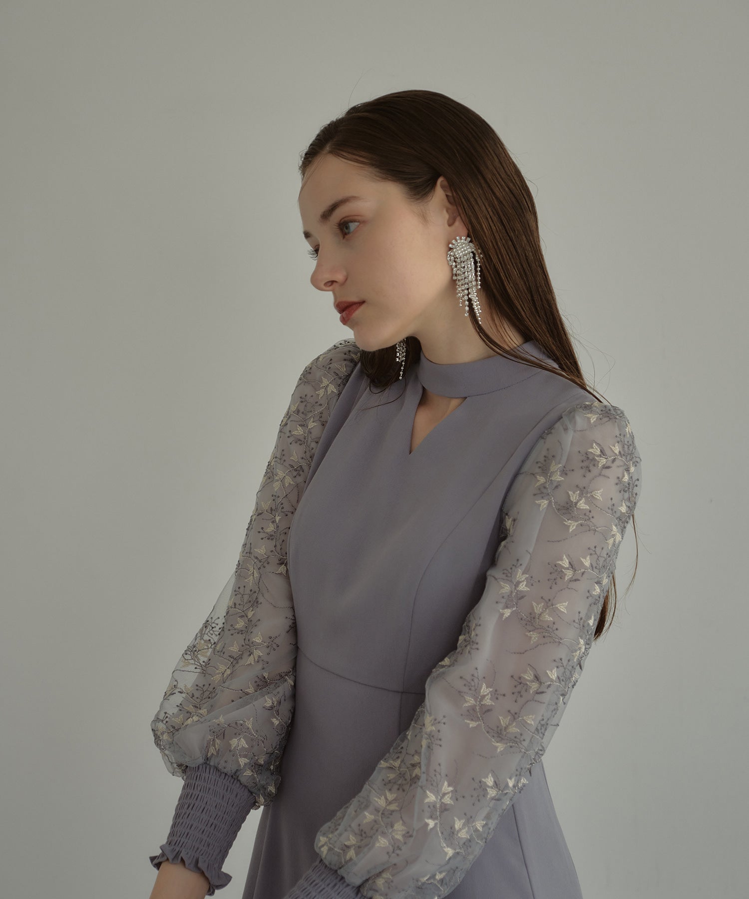 SLEEVE EMBROIDERY DRESS