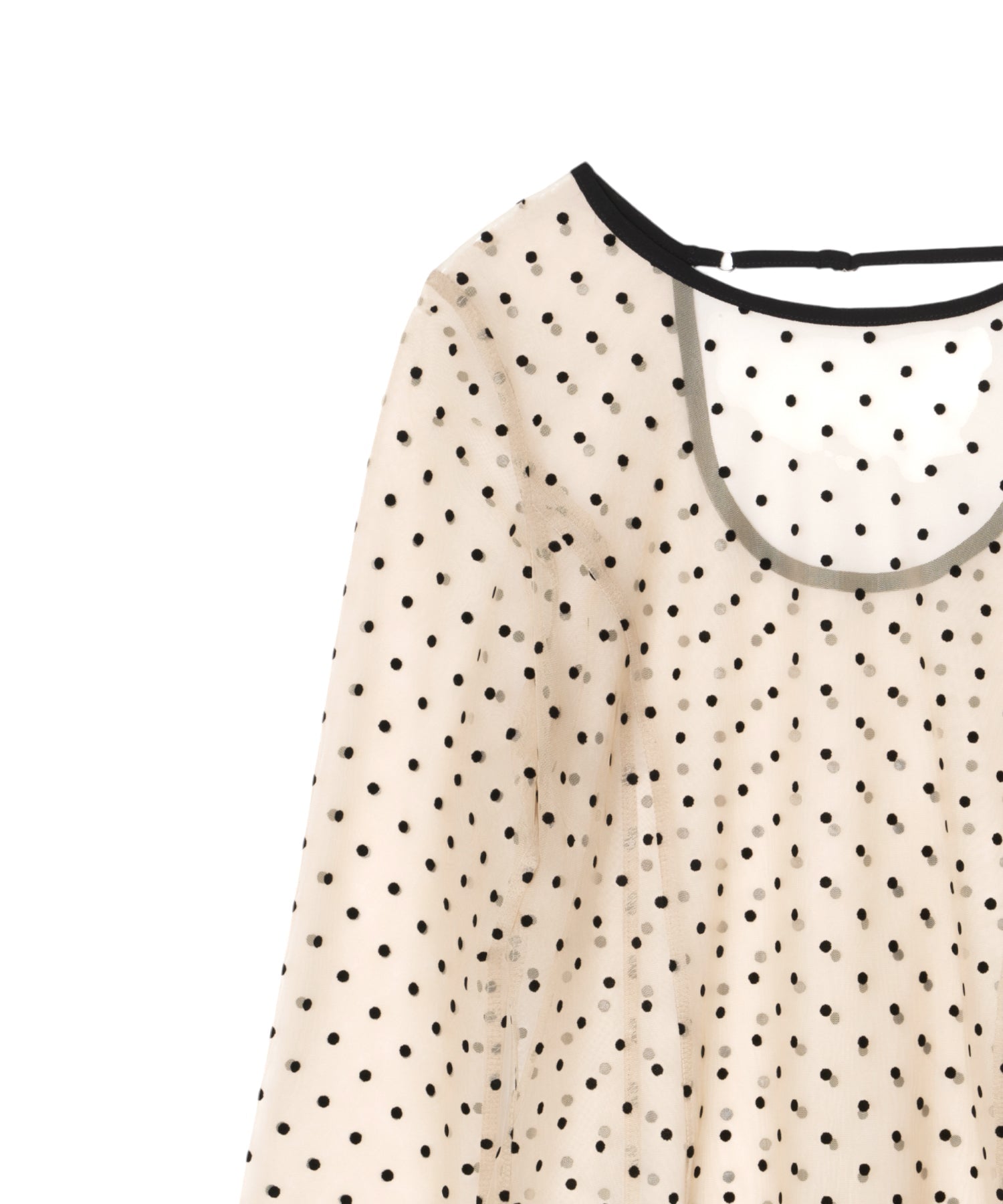 【POPUP】DOT SHEER TOPS