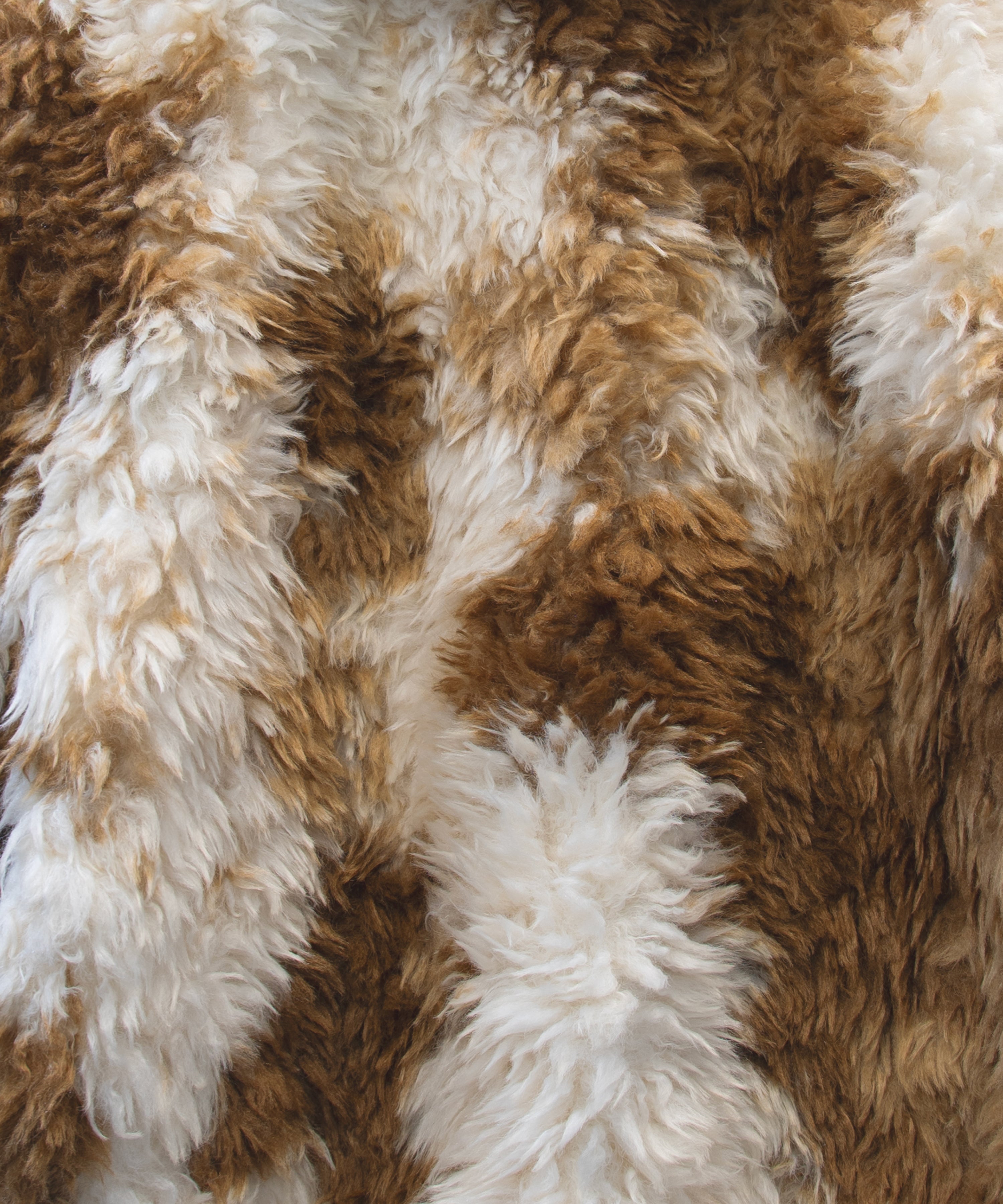 PERRO FUR COAT カラメロ 素材物撮り画像