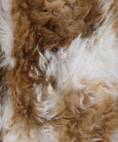 PERRO FUR BAG ブラウン 素材画像